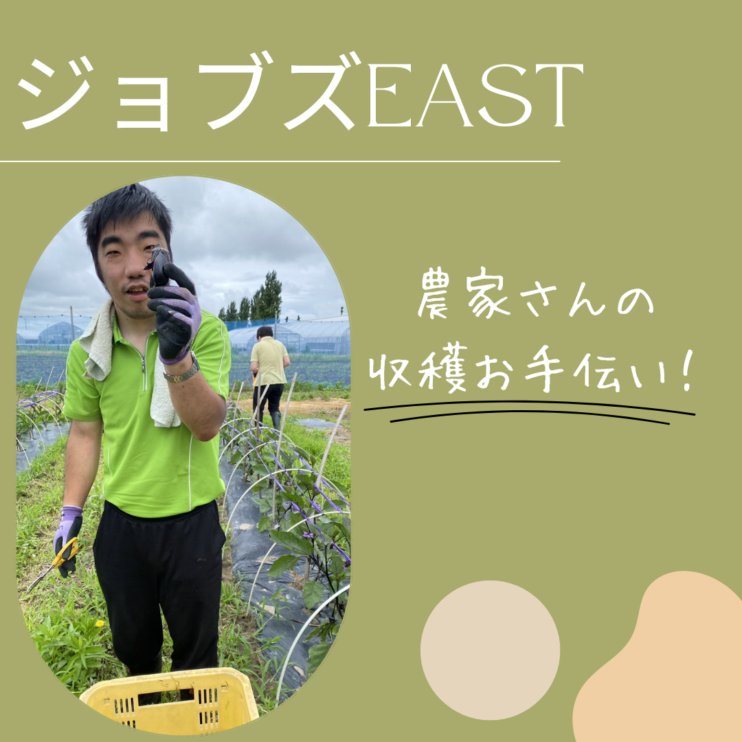 ジョブスeast 収穫のお手伝い！ | 株式会社FIB